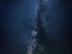 [중혁독자] 삽질하는 청게 중독