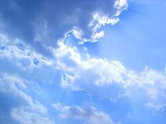 [창궁] 레몬 아이스크림