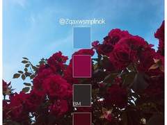 다고족장님네 커미션