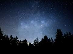 트위터 백업 04.