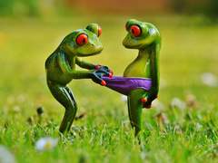 [벜른전력] 팬티 취향