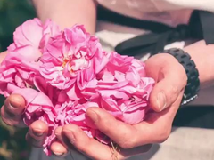 [독자중혁] 멸망하는 세계에서도 정염은 활짝 핀다. 上