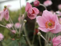 2019.02.16~19 싱가포르 2