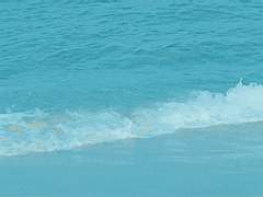 [방탄팬픽/국민/뷔민] 풀꽃수목원 43