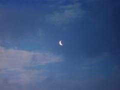 당신에게 보내는, 많이 늦어버린 고백