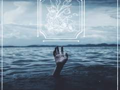 Let me forgive you (1)