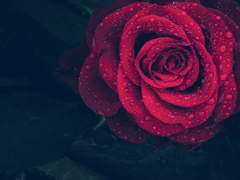 [전자오락수호대] Tale as Old as Time (完)