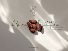 아몬드의 초대 ~수상한 기념일~