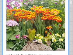 콩몹레 뉴질랜드 여행 폴라로이드 사진 샘플