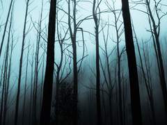 뻐끔대는 메모리