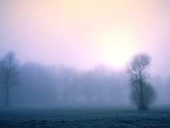 [이히클라] Dear My Winter : 클라리스의 회고록