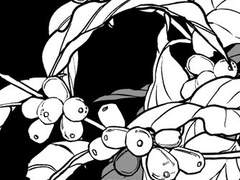 8월에 꿈꾸는 사랑