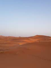 사막을 건너는 이야기