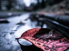 [화승] 습관성 회피