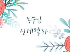 [녹수님] 신데렐라