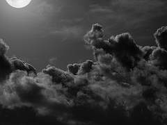 [국슙/다각] 기묘한 계약 01