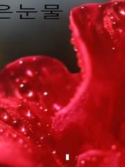 [국뷔] 붉은눈물 시즌1