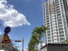 뭉게지는 구름의 이름을 지으랬더니 바람으로 지워버리고