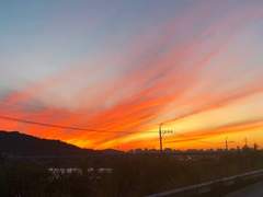 천지해계 글백업