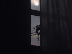 방위사제 아포칼립스 썰