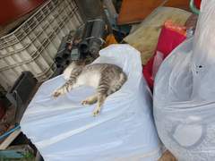 오늘의 녀석들은