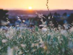 [나엠에세] 다정한 추억이 되어주고 싶어