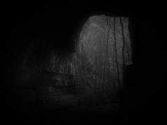 死去鳥_ 둘째 날.