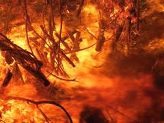 [다자츄] 우리 같이 도망갈까