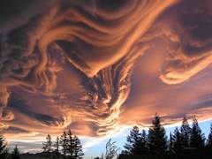 [검법] Undulatus Asperatus