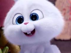 즐거운 한가위 되세요💜