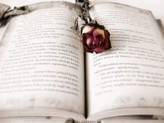 [오이야치] 악당과 작가님 01