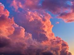 성격 나빠서 죄송합니다.