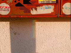 이래저래 바쁜 2월....