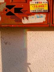 일기 : 일상의 기록