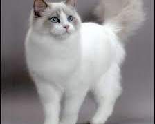 운명이 아니었기에