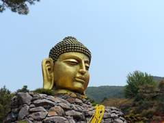 2014.05.19 용인 와우정사