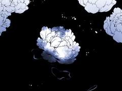 나는 그것의 이름을 불신이라 부른다.