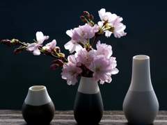 [중혁독자]봄이여 오라.