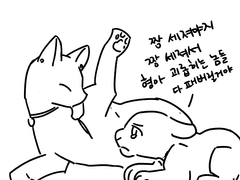 감사합니다!! 감사합니다!! (짤모음)