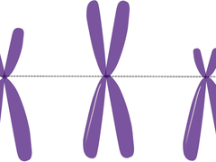 생명과학의 시점에서 본 오메가버스 영석무진