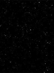 유현노아 썰 백업