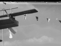 나락까지 가보자