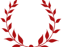 반전세계의 마녀 이야기.