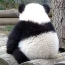 설탕누룽지ㅍ_ㅍ