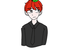 중1~중3 그림변천사 (이비스)