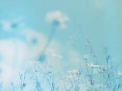 사랑하는 그대에게