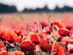 그날 너와 마셨던