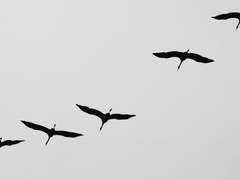 믿음을 신뢰하기 위해선.