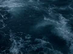 (삼국지톡/곽가후) 人魚