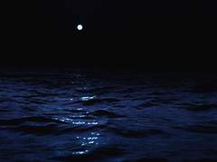 [현제유진] 백일몽 (白日夢)